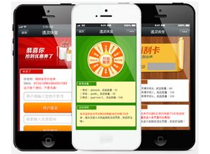 石家莊某科技公司涉嫌開發(fā)并銷售非法“轟炸群發(fā)”手機(jī)軟件被查處